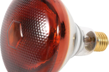 IR soojuslamp 250W punane | | Adexa HLRI01