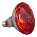 Toidusoojendaja 2 Soojenduslambiga Gn1/1 | Adexa Wl550 - Image 2