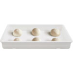 Pizzataigna Karp 600x400x100mm Polüetüleen | Adexa WHDB4100